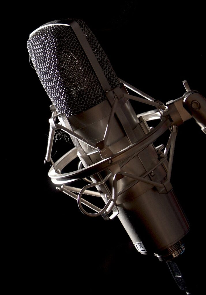 Kondensatormikrofon für Aufnahmen und Musikproduktionen